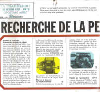 P-02.jpg (316012 octets)