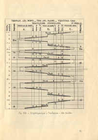 P-81.jpg (168820 octets)