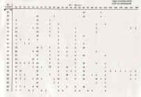 P-23.jpg (225030 octets)