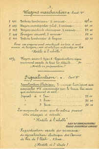 P-03.jpg (243464 octets)