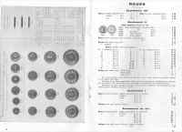 Pages 18-19.jpg (1434327 octets)