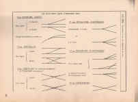 P-105.jpg (368879 octets)