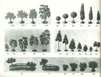 P-28.jpg (245439 octets)