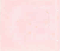 P-04.jpg (453211 octets)