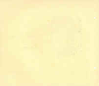 P-20.jpg (502651 octets)