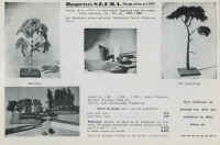 Page-78.jpg (367920 octets)