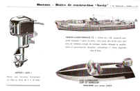 P-11.jpg (100010 octets)