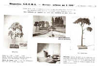 P-99.jpg (183628 octets)