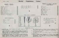 P70.jpg (372377 octets)