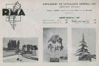 Supplement-1.jpg (131279 octets)